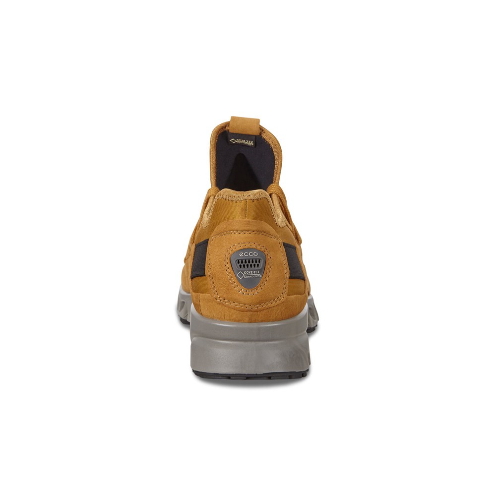 Tenis Outdoor Hombre - ECCO Multi-Vent - Kaki - SDV387256